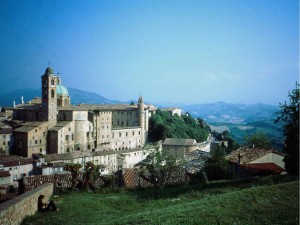 urbino